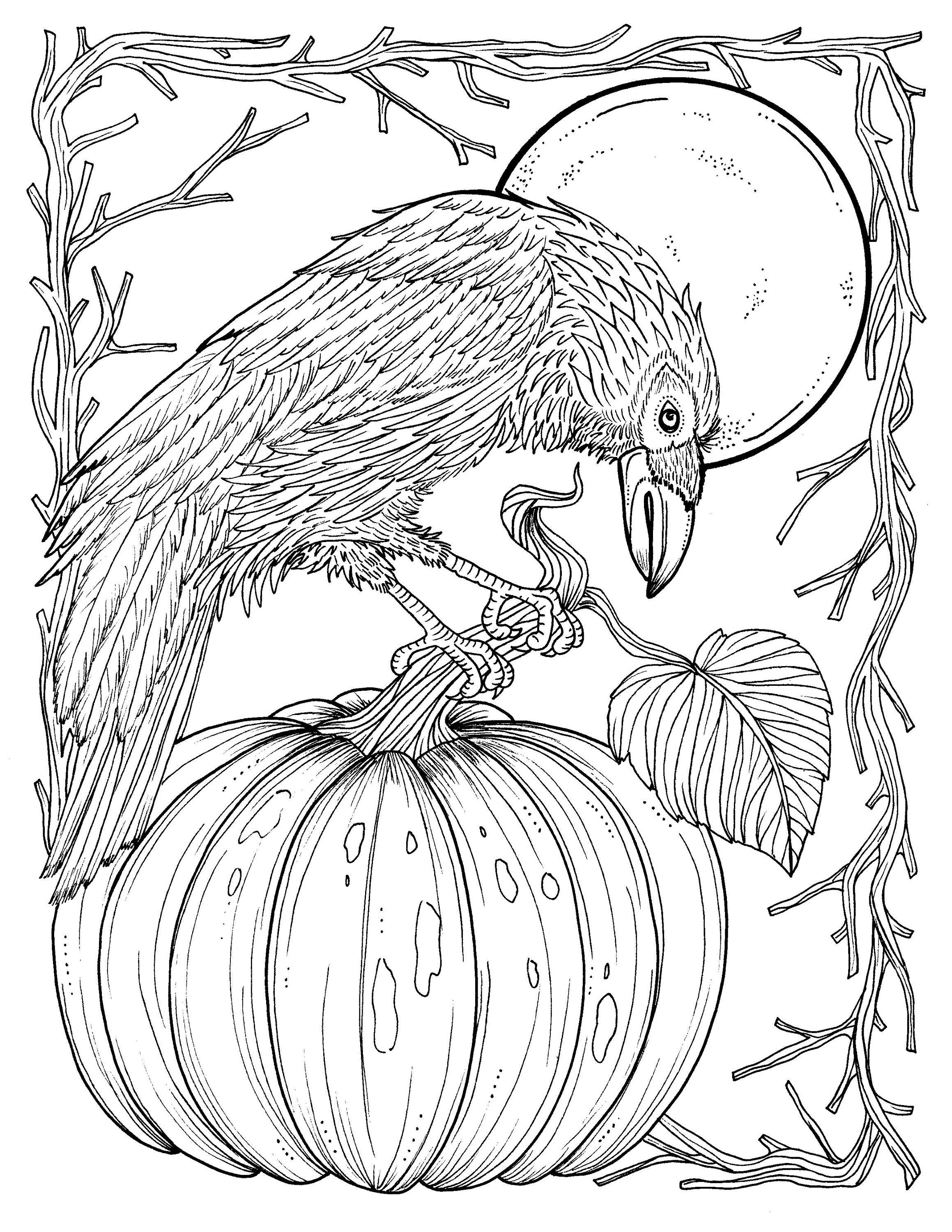 Fall Crow Digital Coloring Page ...