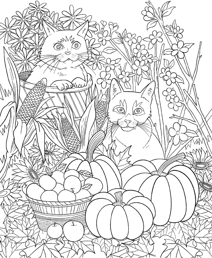 Autumn Cats Adult Coloring Book